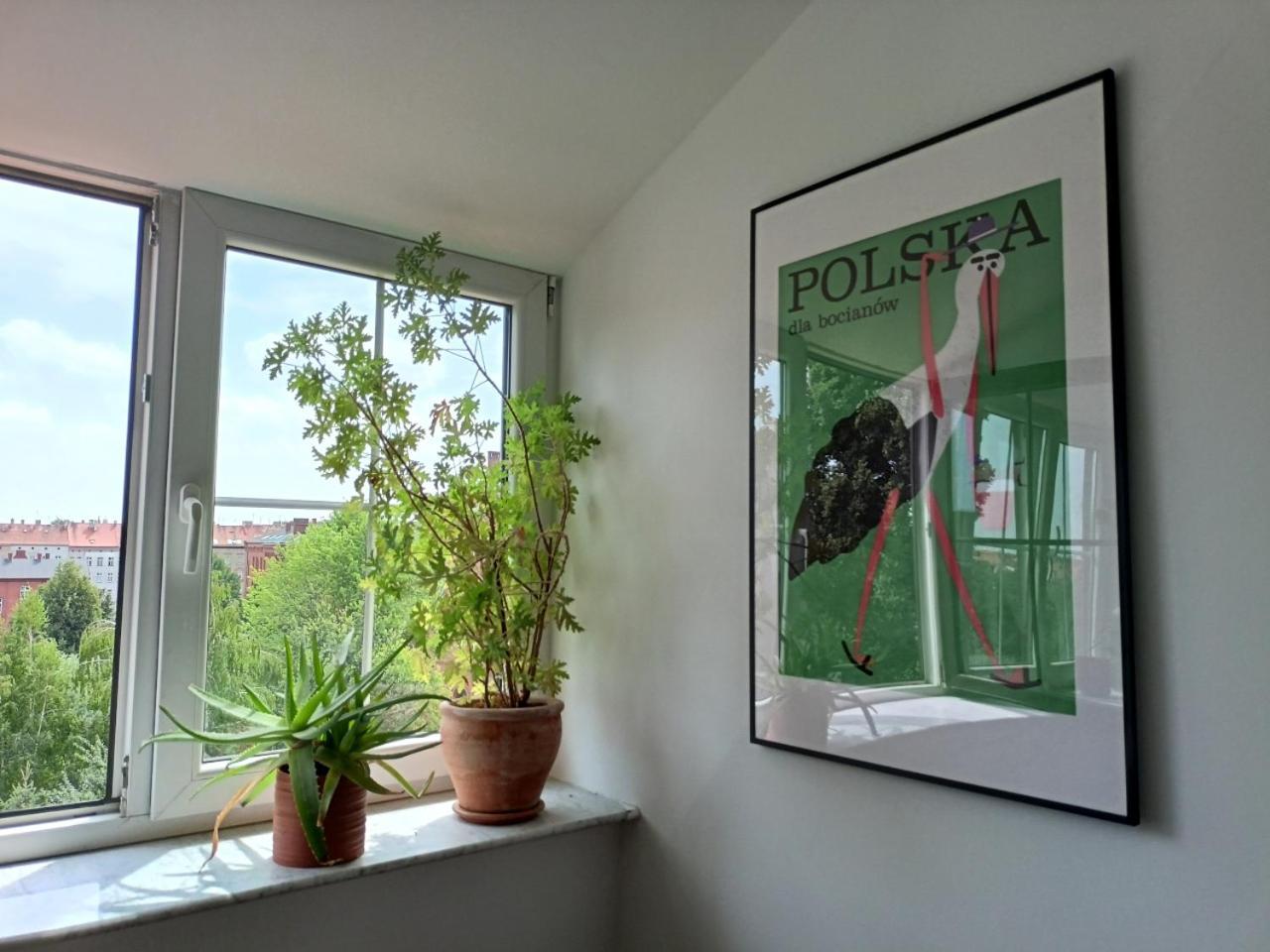 Lemuria Pokoje Hostel Chojnowska A Legnica Kültér fotó