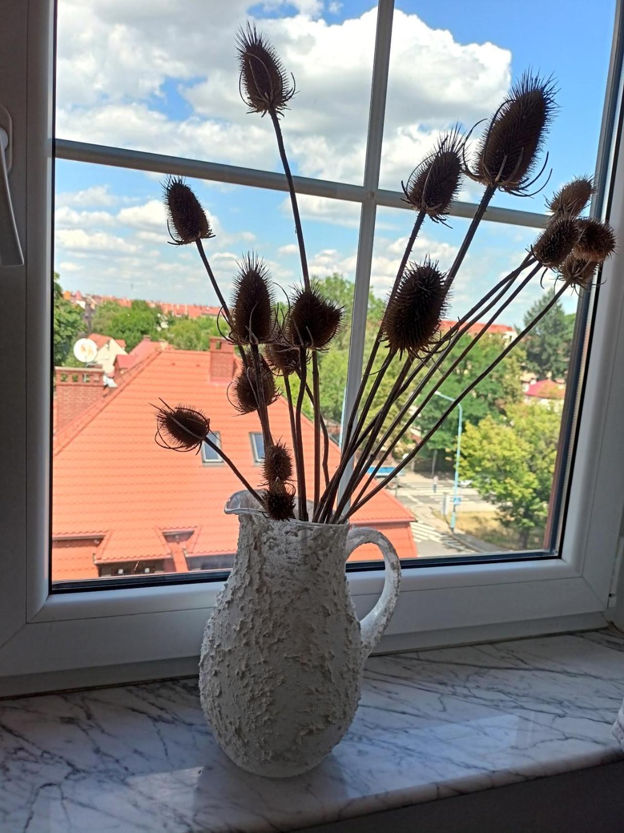 Lemuria Pokoje Hostel Chojnowska A Legnica Kültér fotó
